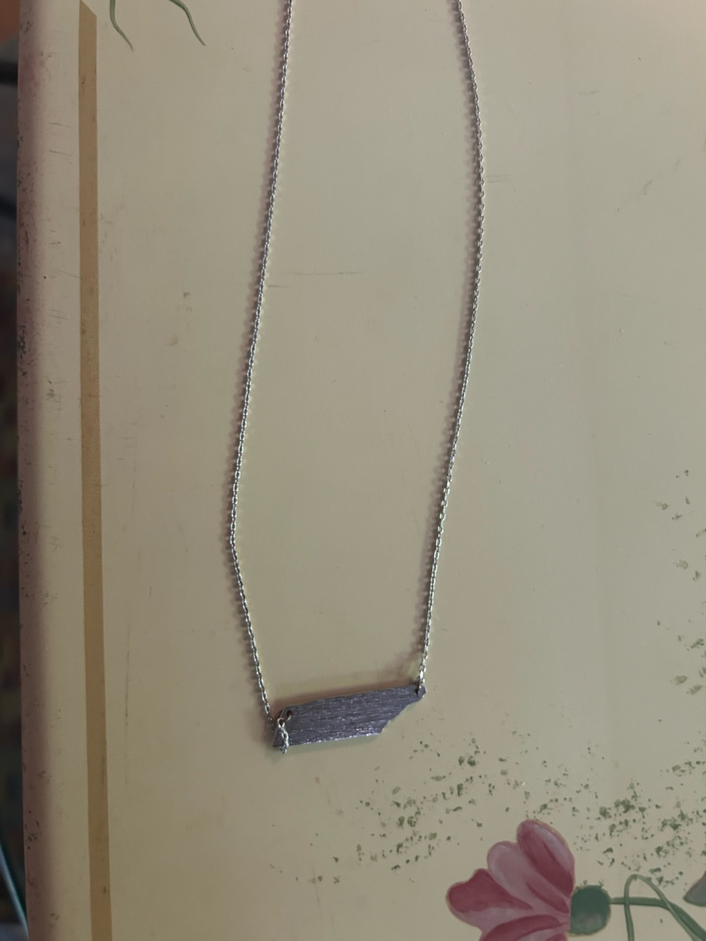 Delicate Silver Chain Necklace with Tennessee Pendant
